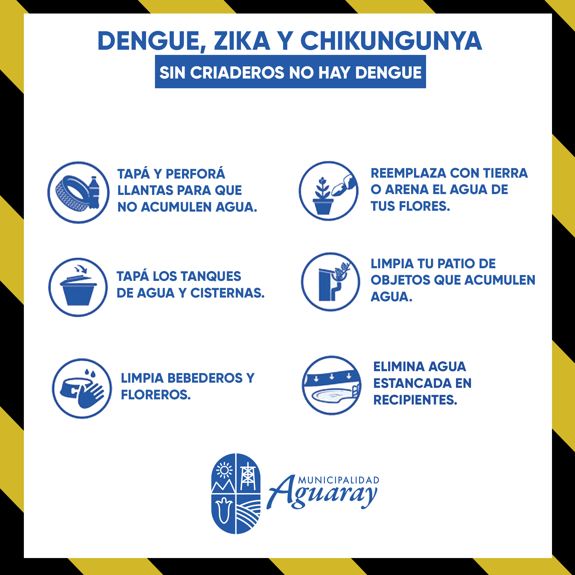 dengue