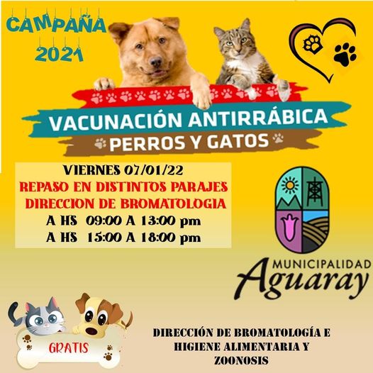 mascotas